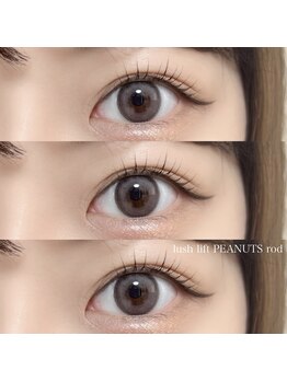 ノーチェ(noce)/ラッシュリフトピーナッツロッド