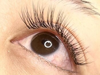 コボアイラッシュ(COVO.eyelash)の写真/まつ毛パーマでは物足りない方へ！ナチュラルパッチリも華やかゴージャスも◎各種お得なクーポンあり☆