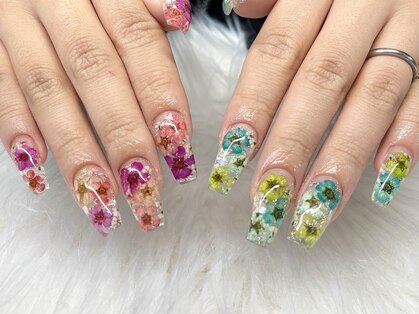 ケリー(Kelly)の写真