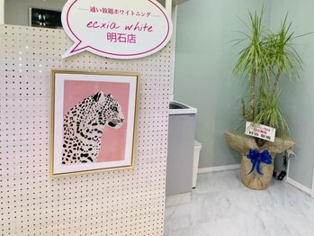 エクシアホワイトニング 明石店/エクシア明石店/店内