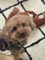 オーク 兵庫(OAK)&nbsp;愛犬ジョン。