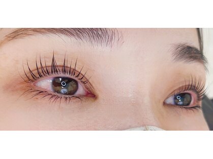 ニコ(NICO.)の写真