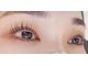 ニコ(NICO.)の写真