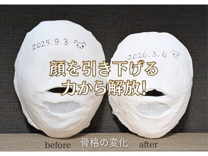 バンブー(bamboo)の写真