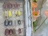 《4種類から選べる☆》月替わりネイル ¥4800