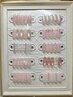 定額nail【シンプル】オフィス向け/上品/ワンポイントアート/パラジェル￥500