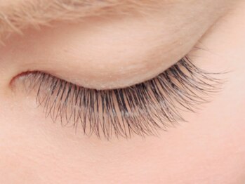 ラッシュ(LASH)/カラーエクステ/150本/マツエク