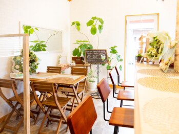 サロン カトレア(Cattleya)/