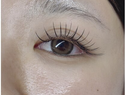 ボニータ(Bonita)の写真