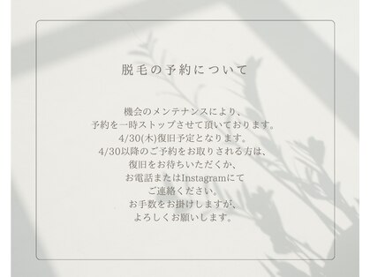 アゲハ(ageha)の写真