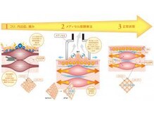 巡りラボ/筋膜リリースで物理的に血流改善