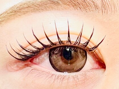 イチハ(ICHIHA)の写真