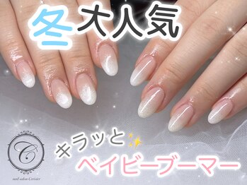 セリシール(Cericier)/【パラジェル】ベイビーブーマー