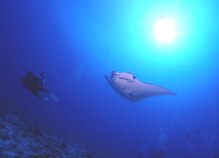 リラクゼーション整体 りめいく