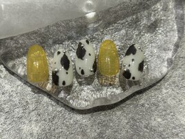 【10月sample】¥8,800