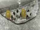 【10月sample】￥8,800