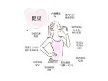 エステサロン プレム(Plem)/インディバ効果効能