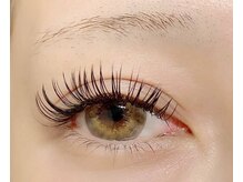 ヴィフ(Vif)/フラットラッシュ120本