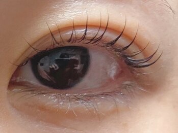 ウルカ アイラッシュ(uruka EYELASH)/ラッシュリフト