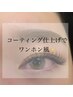 【韓国風】束感コーティング　フラットラッシュ120本￥7,500～　Ｄ