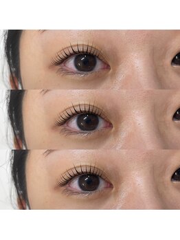 バンクィッシュ(vanquish)/立ち上げカールデザイン