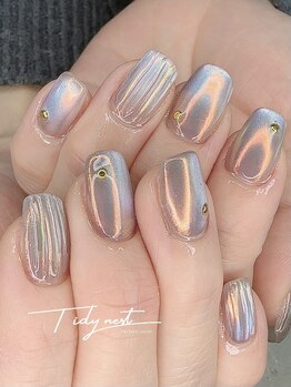 ティディーネスト(Tidynest)/バカラネイル