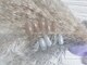 アレス 狛江店(ales)の写真/派手なネイルが出来ない…そんなあなたにぴったりな"naildesign"を演出◎主婦の方やOLさんにもオススメ♪