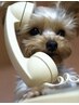 ♪施術中や講習会中はお電話に出れませんのでLINEからお問合せ下さいませ♪