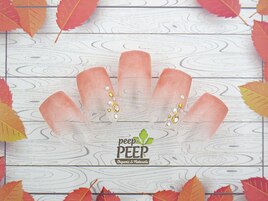 18年9月のおすすめコース-12