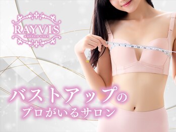 レイビス 札幌店(RAYVIS)