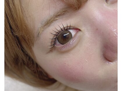 ボニータ(Bonita)の写真
