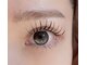 ロアーアイ(ROAR eye)の写真