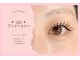 デイズ アイ ベクシー(Day`s eye Becsy)の写真