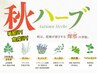 【夏の疲れをリセット★秋限定ハーブ】よもぎ蒸し(40分)＋よもぎ茶付