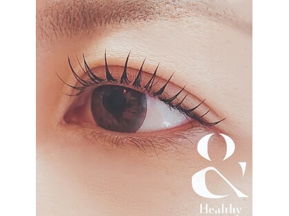チャハヤ(Cahaya)の写真