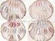 ドルチェネイル(Dolce.Nail)の写真/【人気No.1!!350種以上★Dolceコース】トレンド～定番まで豊富にご用意☆カラーチェンジ&パーツアレンジOK!