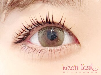 ニコットラッシュ 難波店(nicott lash)/