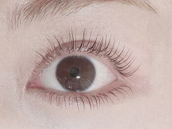 モーイ トウキョウ(Mooi Tokyo)/パリジェンヌラッシュリフト