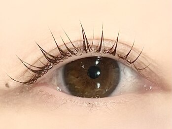 ローバー(ROVER)/