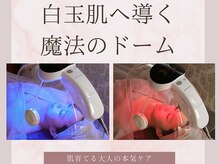 ルブランプラス(Le Blanc +)の雰囲気（【高濃度白玉ドーム】エイジングケア/美白/水光肌/プルプル肌）