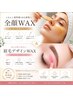 全顔WAX＋デザイン美眉＋エクソソームシートマスク ￥8,980（2020円お得）