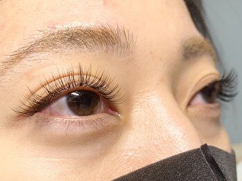 ネスト(Nest)/フラットラッシュ200本