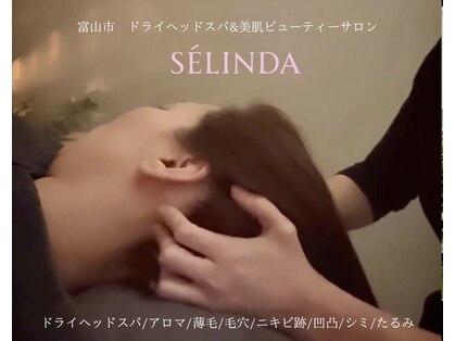 セリンダ(selinda)の写真