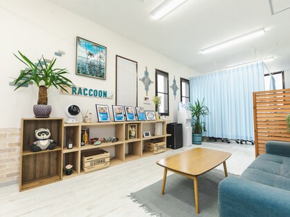 ラクーン(RACCOON)の写真