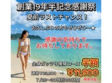 痩身 セル脂肪専門 スタイルデザイン