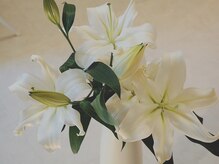 リリアーナ(LILIANA)/癒しのひとときを