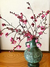 イヤシアナヤマ(癒anayama)/庭先に咲いている梅