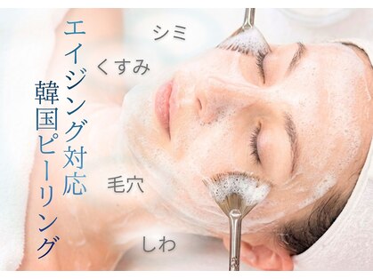 猫の手(ne.co.note)の写真
