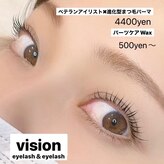 ヴィジョン(VISION)