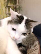 キキネイル 溝の口(kikinail)&nbsp;ちむちむ 店長補佐